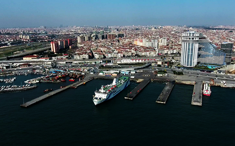 Associates & Investments