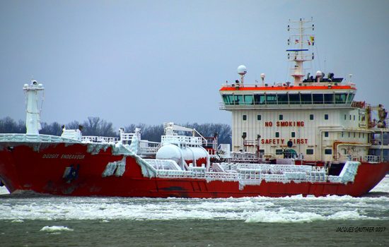 Ship-Management-gorsel-5